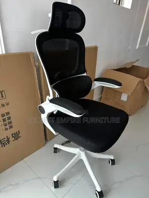 Ergonomic Chair