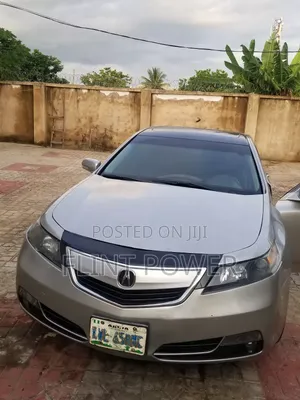 Acura TL Automatic SH-AWD 2009 Gray