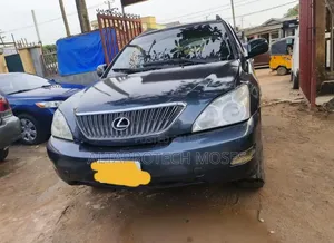 Lexus RX 2008 Gray