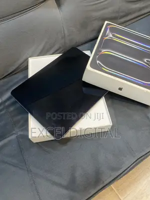 Apple iPad Pro 11 (2024) 256 GB Gray