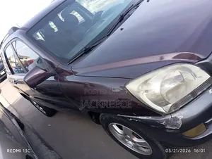 Kia Sportage 2008 Brown