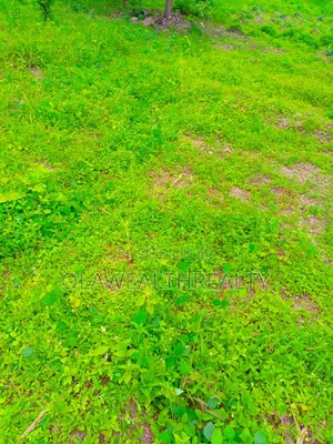 3,460sqm Commercial Land at Gudu District