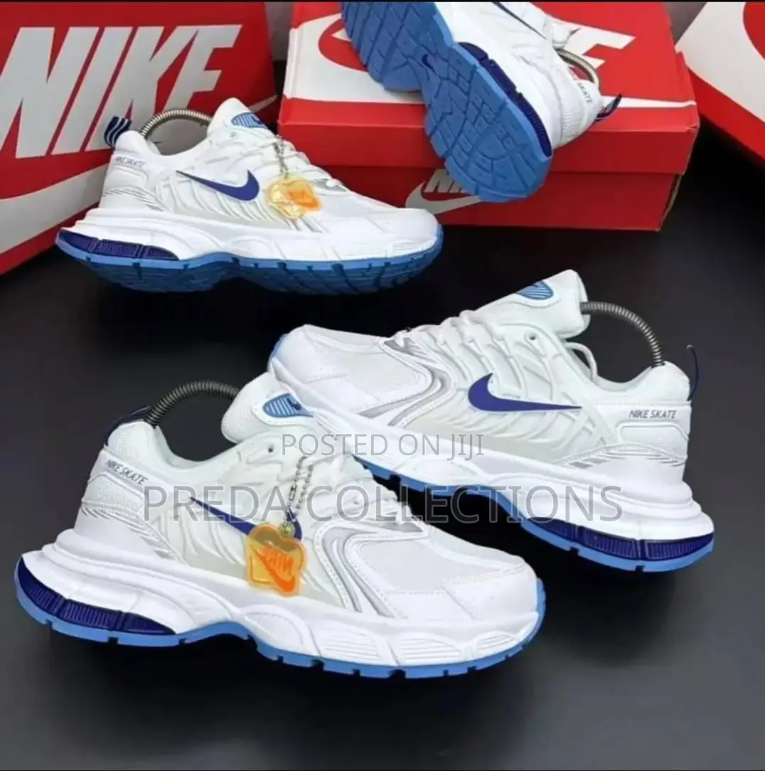 Nike Skate Sneakers