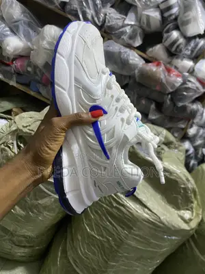 Nike Skate Sneakers