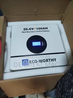 Eco Worthy Lithium Ion Battery