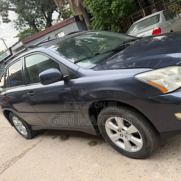 Lexus RX 2006 Gray