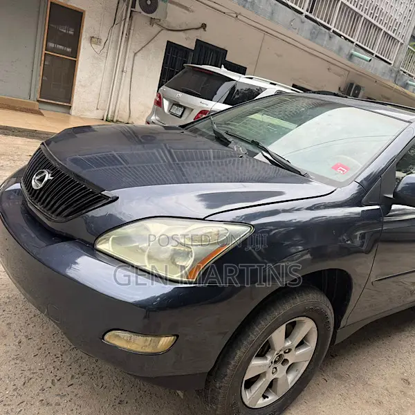 Lexus RX 2006 Gray