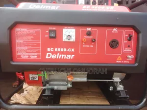 Four Months Used Delmar Generator
