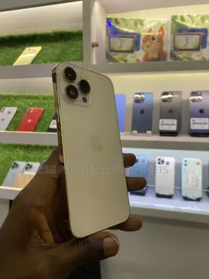 Apple iPhone 13 Pro Max 256 GB Gold
