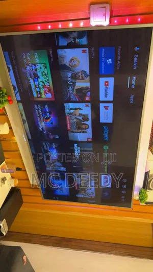 55" Philips Smart Tv