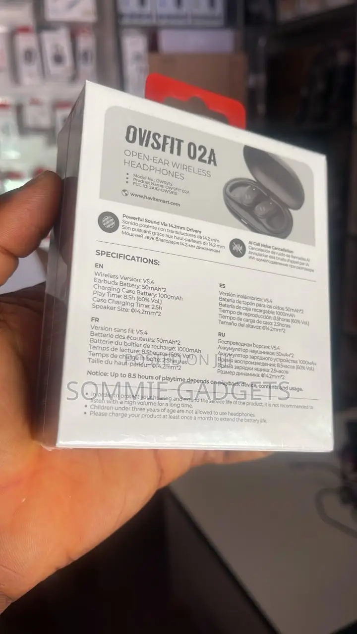 Havit Ovisfit 02a Open-Ear Wireless Earbuds