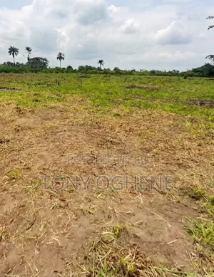 C of O Plots Acres of Land for Sale in Isiwo, Epe
