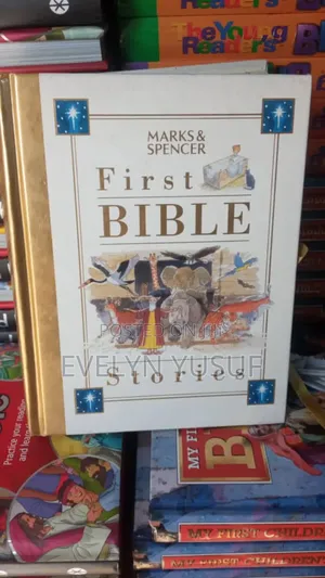 Children's Bibles