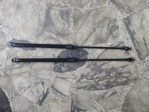 Bonnet Shocks Rx350 2018