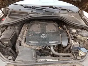 Mercedes-Benz M Class 2010 Brown