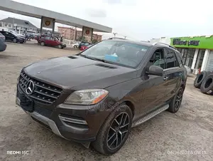 Mercedes-Benz M Class 2010 Brown