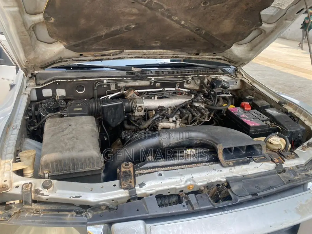 Mitsubishi Montero 2003 Gray