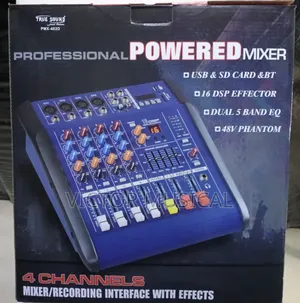 4 Channels True Sound Powdered Mixer