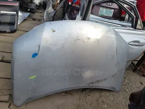 Bonnet Rx 350 2010