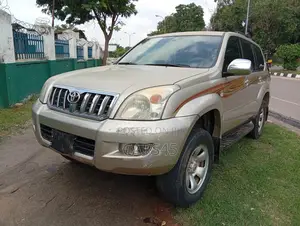 Toyota Land Cruiser 2007 Gray