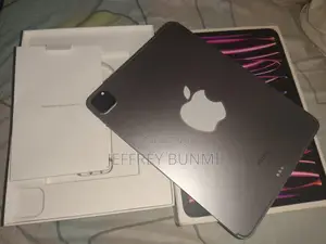 Apple iPad Pro 11 (2022) 256 GB Gray