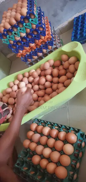 Farm Fresh Eggs