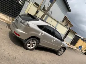 Lexus RX 330 2006 Gray