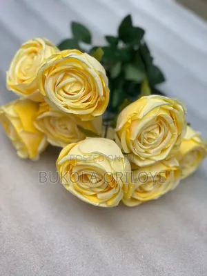 Yellow Rose Rentals Service