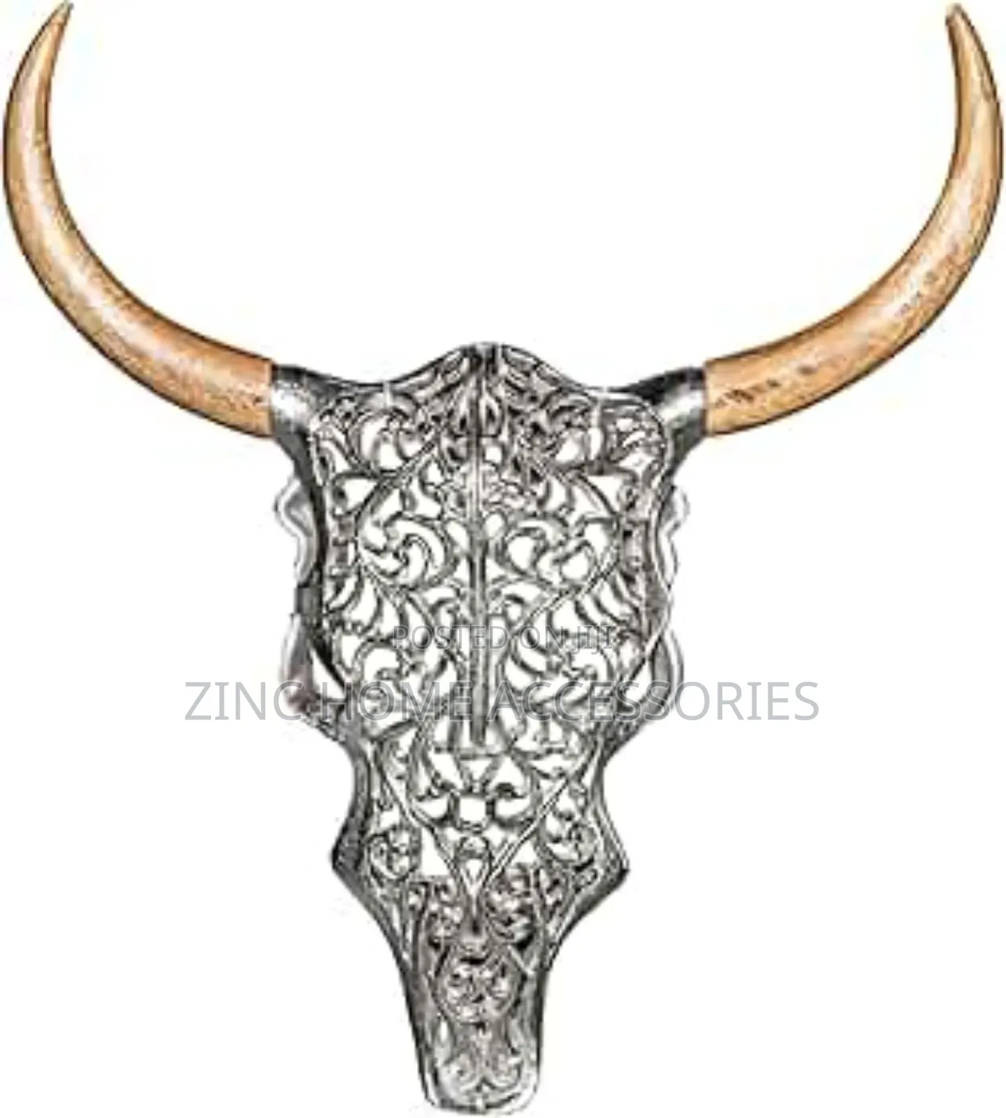 42cm Bull Skull