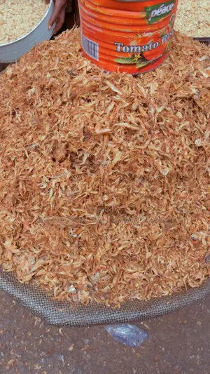 Dry Crayfish