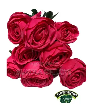 Facial Pink Rose Rentals Service