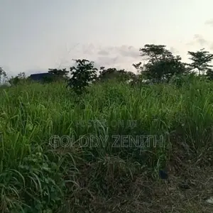 Property For Sale