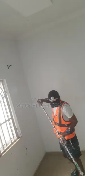 Proffesional Plumbing Painting and Site Supervision Services