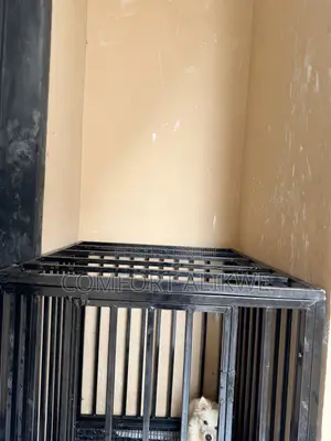 Newly Fabricated Heavy Duty Dog Cage