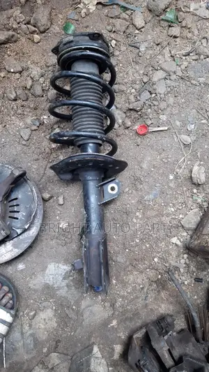 Nissan Rogue the Front Shock Set