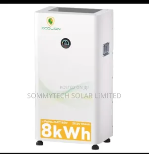 8kwh_24v Eco Lion Luthiun Ion Battery