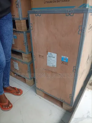 20kwh 48v C-Worth Lithium Ion Battery