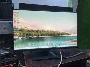 Dell 24 Inches