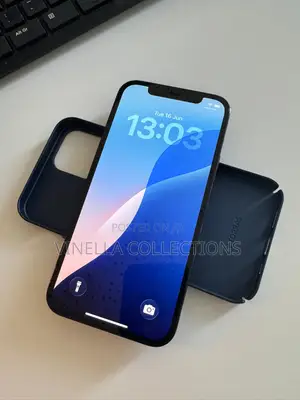 Apple iPhone 12 Pro Max 256 GB Blue