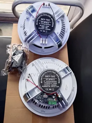 2 in 1 Bluetooth Celling Speaker