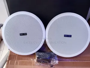 2 in 1 Bluetooth Celling Speaker