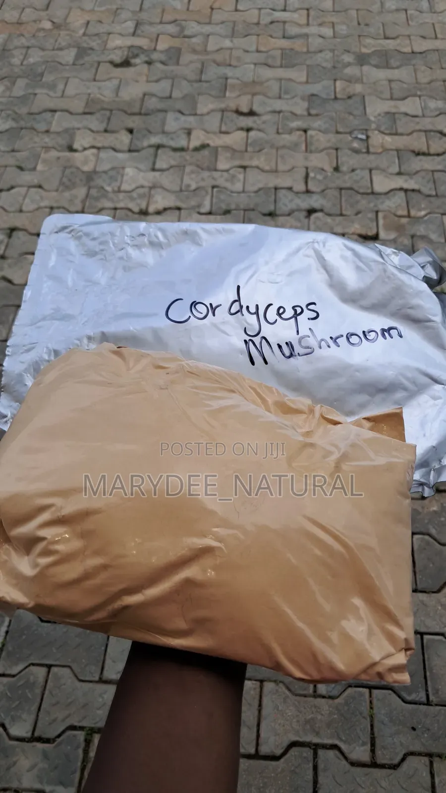 Cordycep Mushrooms