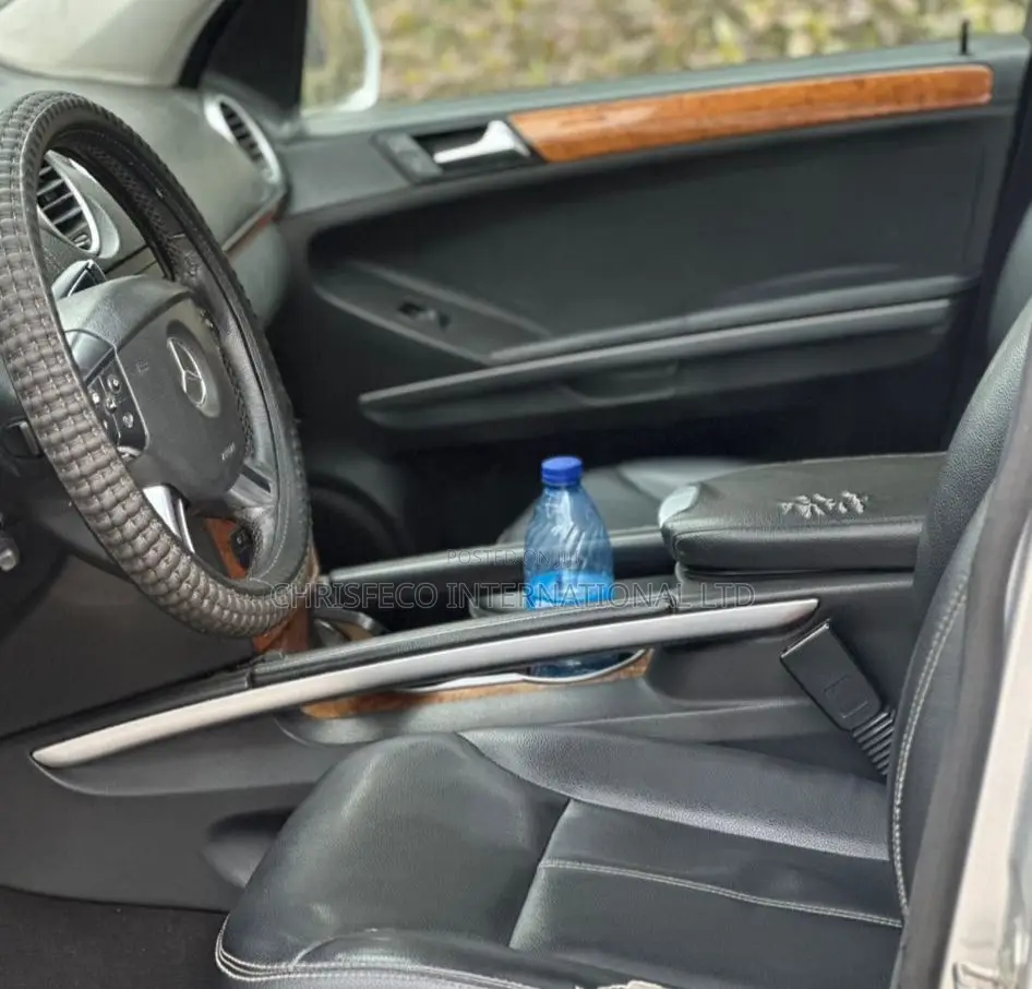 Mercedes-Benz GL-Class GL 450 2007 Silver