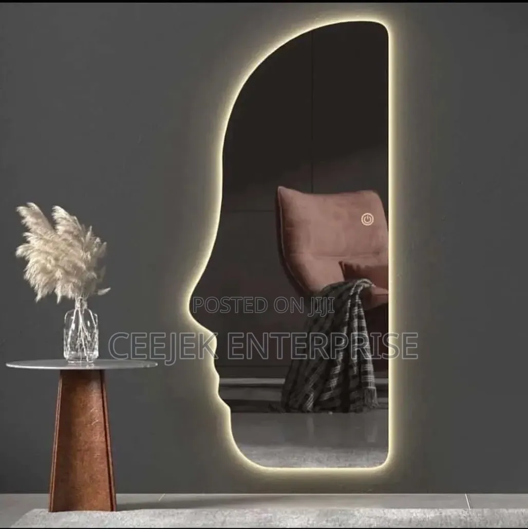 Face Design Led Mirrpw With 3 Light