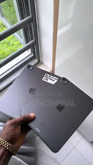 Apple iPad Pro 256 GB Gray