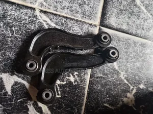 Back Arm 08 Ford Edge