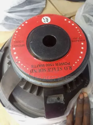 15inches Naked Speaker