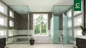 Frameless Glass Bathroom Partition (Cubicle)