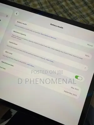 Apple iPad Pro 256 GB Gray