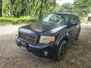Ford Escape 2010 Blue